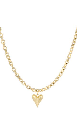 Bijoutheek Collier Grove Schakel Bol Hart