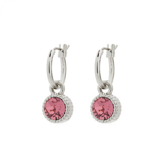 Kopen rose Biba Oorhangers Zilver met gekleurde steen