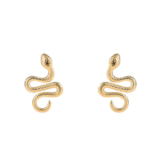 Kopen goud Day&Eve by Go Dutch Label Oorknoppen Kronkelende Slang