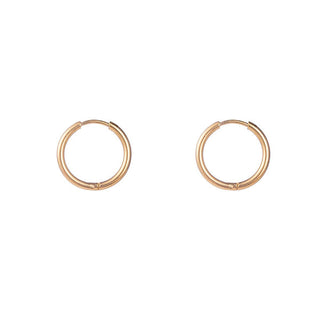 Kopen goud Go Dutch Label Oorringen (2-4cm)