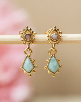 Muja Juma Oorknoppen Feverfew