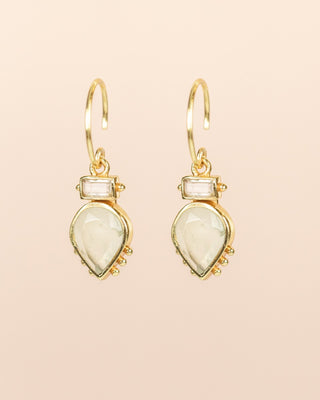 Muja Juma Oorhangers Cicada prenite pear