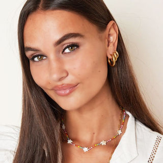 Bijoutheek Earrings Steel