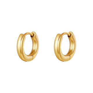 Bijoutheek Earrings Steel (1.4cm x 3mm)