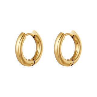 Bijoutheek Earrings Steel (1.6cm x 3mm)