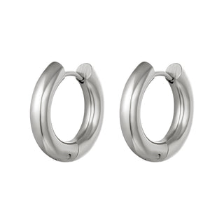 Bijoutheek Earrings Steel