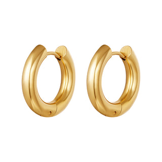 Bijoutheek Earrings Steel