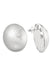 Zilver