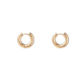 Kopen goud Go Dutch Label Oorringen (3-4cm)