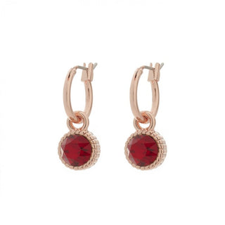 Kopen siam BIBA Oorhangers rosé (8923)