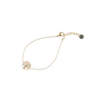 Go Dutch Label Armband Levensboom