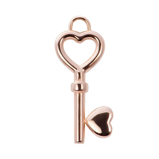 Kopen rose iXXXi Pendant Charm Key (20MM)