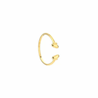 Bijoutheek Ring (Sieraad) twee tiny hearts