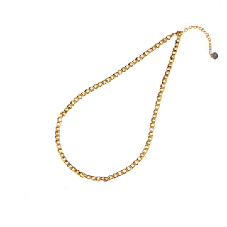 Go Dutch Label Chain Link