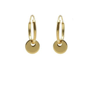 Karma Symbols Oorbel small Discus