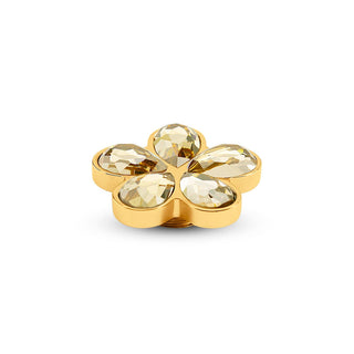 Koop champagne Melano Vivid Meddy Blossom (15MM)