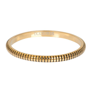 Kopen goud iXXXi invulring Karma (2MM)