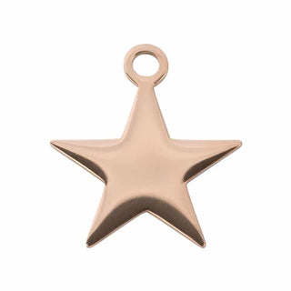 Koop rose iXXXi Pendant Charm Star (20MM)