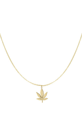 Kopen goud Bijoutheek Collier Cannabis