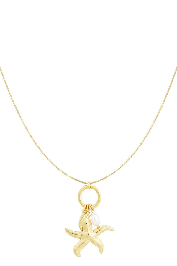 Bijoutheek Collier Grote Zeester