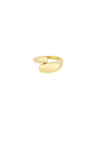 Bijoutheek Ring (Sieraad) Wikkel Plat