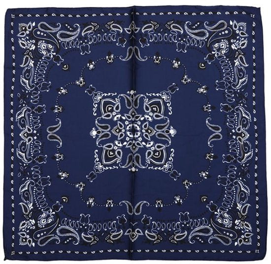 Bijoutheek Sjaal (Fashion) Vierkant Zijdezacht Paisley Rand