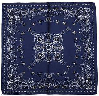 Bijoutheek Sjaal (Fashion) Vierkant Zijdezacht Paisley Rand