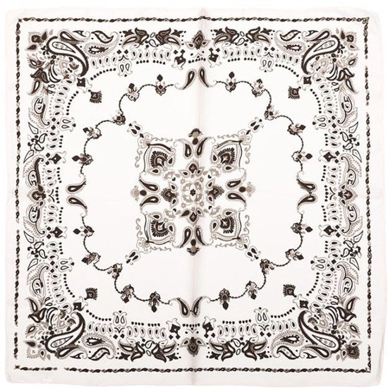 Bijoutheek Sjaal (Fashion) Vierkant Zijdezacht Paisley Rand