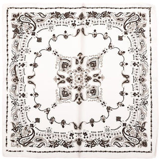 Kopen beige Bijoutheek Sjaal (Fashion) Vierkant Zijdezacht Paisley Rand