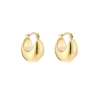 Bijoutheek Oorringen Hoop Chunky Klein