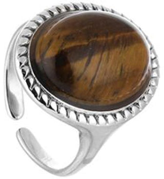 Bijoutheek Ring (Sieraad) Ovaal Groot Steen Zilverkleurig
