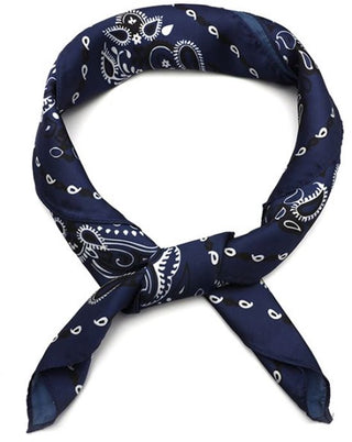 Bijoutheek Sjaal (Fashion) Vierkant Zijdezacht Paisley Rand