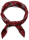 Bijoutheek Sjaal (Fashion) Vierkant Zijdezacht Paisley Rand