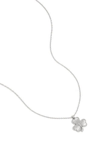 Kopen zilverkleurig Bijoutheek Collier Lucky Charm Klaver