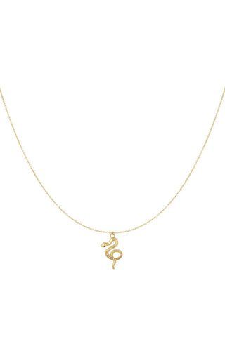 Bijoutheek Collier Slang Steentjes