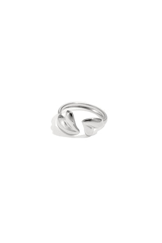 Bijoutheek Ring (Sieraad) 2 Hartjes
