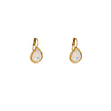 Go Dutch Label Oorhangers French Hook - Big Drop Stone