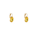 Go Dutch Label Oorhangers French Hook - Big Drop Stone