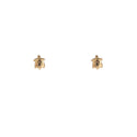 Go Dutch Label Oorknoppen Turtle Stud