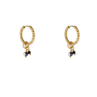 Go Dutch Label Oorhangers Double Stone Hoop - Goudkleurig