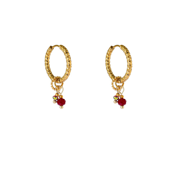 Go Dutch Label Oorhangers Double Stone Hoop - Goudkleurig