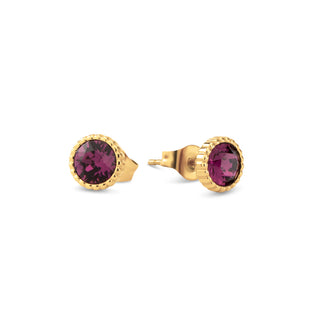 Kopen amethyst Melano Friends Hannah CZ Oorbellen (7MM)