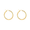 Bijoutheek Oorringen Hoop Strass Zirkonia