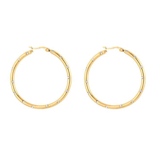 Bijoutheek Oorringen Hoop Strass Zirkonia