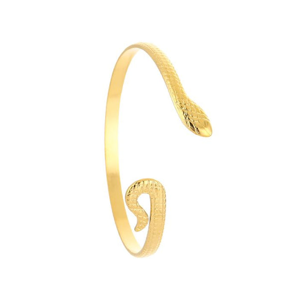 Bijoutheek Armband (Sieraad) Bangle Slang
