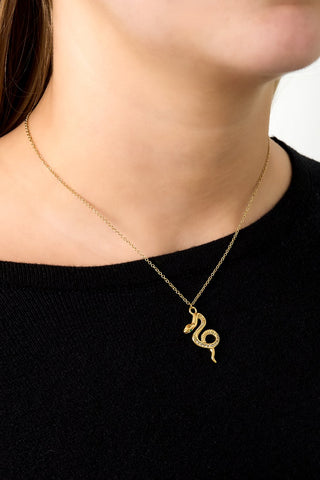 Bijoutheek Collier Slang Steentjes