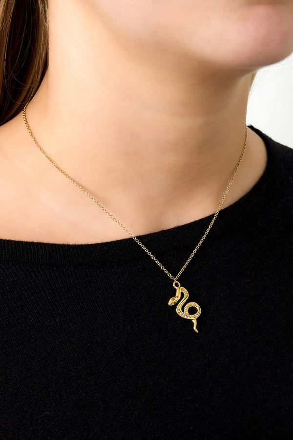 Bijoutheek Collier Slang Steentjes