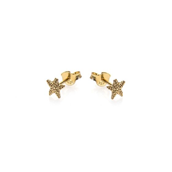Karma Oorknoppen Symbols Starfish 2