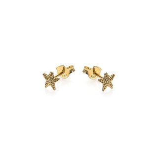Karma Oorknoppen Symbols Starfish 2