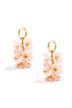 Oud Roze